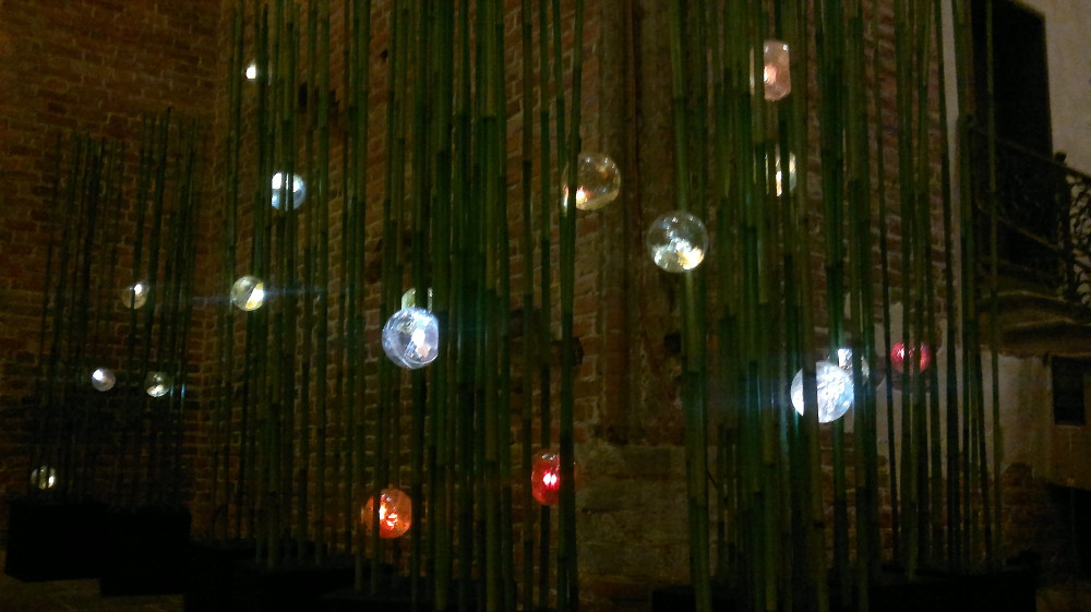 "trzcinowisko" - widok ogólny