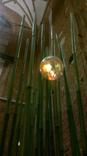 "trzcinowisko" - jajo