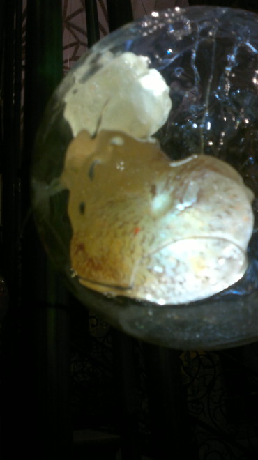 "trzcinowisko" - syrenka