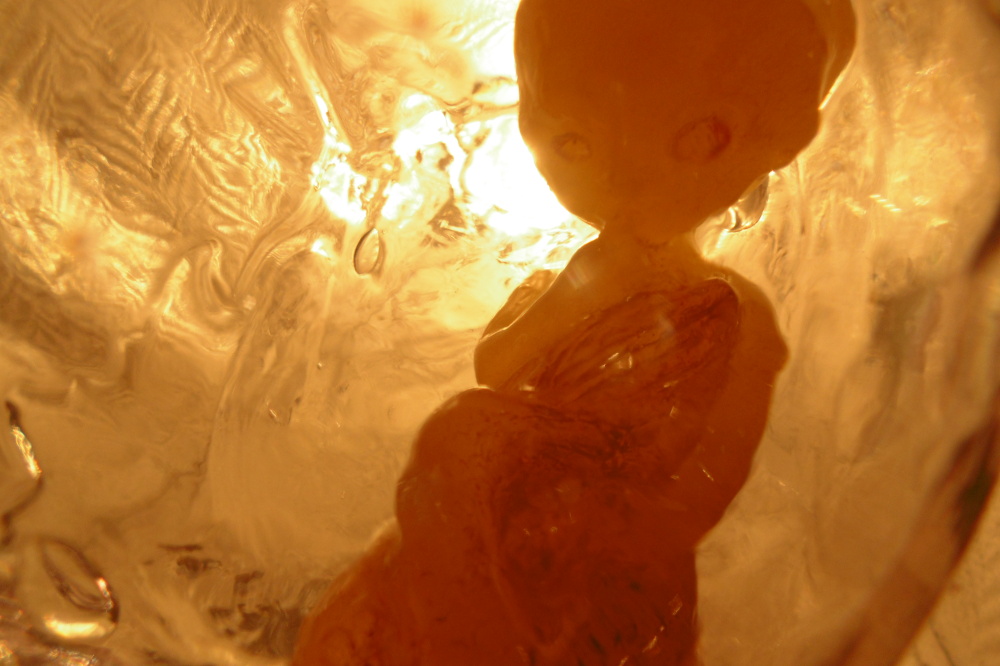 "trzcinowisko" - syrenka