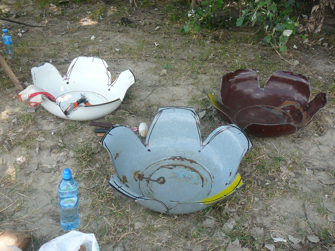 Nuphar mutea solaris